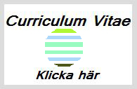 Curriculum Vitae
